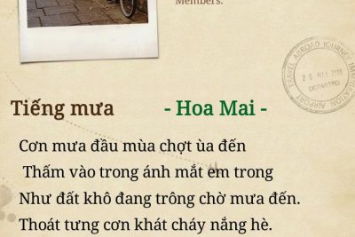 Bài Thơ: TIẾNG MƯA